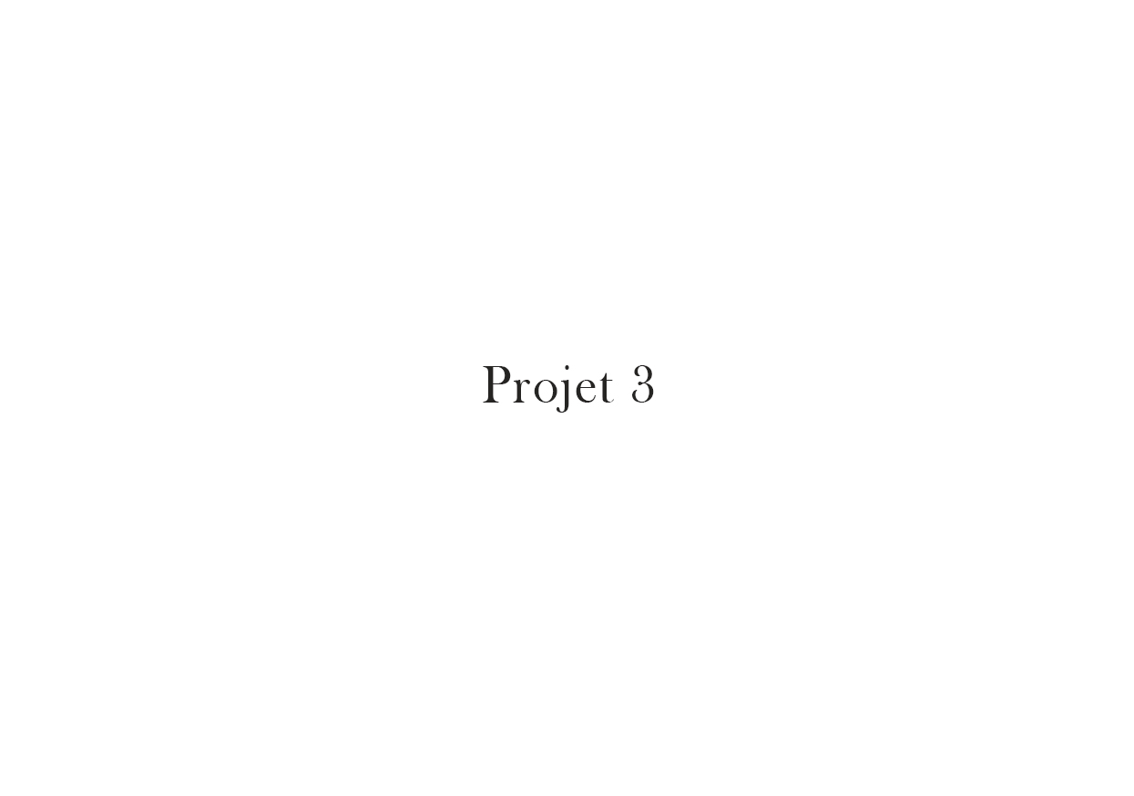 Projet 3